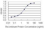 PBXIP1 Antibody in ELISA (ELISA)