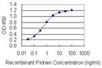 DSCAML1 Antibody in ELISA (ELISA)