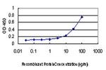 TRIB3 Antibody in ELISA (ELISA)