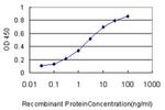 HAMP Antibody in ELISA (ELISA)