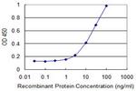 CXCL16 Antibody in ELISA (ELISA)