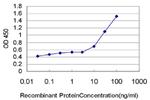 CXCL16 Antibody in ELISA (ELISA)