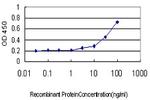 LGR7 Antibody in ELISA (ELISA)