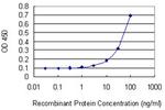 UBE2O Antibody in ELISA (ELISA)