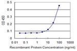 SEMA4A Antibody in ELISA (ELISA)