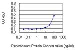 GREM2 Antibody in ELISA (ELISA)