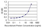 MARCH7 Antibody in ELISA (ELISA)