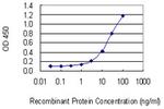 SLC30A5 Antibody in ELISA (ELISA)