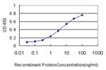 WNK2 Antibody in ELISA (ELISA)