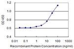 LENG4 Antibody in ELISA (ELISA)