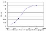 ZFHX4 Antibody in ELISA (ELISA)