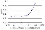 ZFHX4 Antibody in ELISA (ELISA)