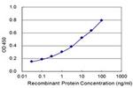 SHCBP1 Antibody in ELISA (ELISA)