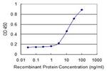 HKDC1 Antibody in ELISA (ELISA)