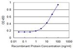 PDGFD Antibody in ELISA (ELISA)