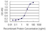 TET1 Antibody in ELISA (ELISA)