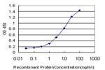 TSSK3 Antibody in ELISA (ELISA)