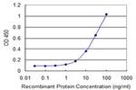 ITCH Antibody in ELISA (ELISA)