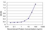 TSSK1B Antibody in ELISA (ELISA)