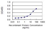 OBSCN Antibody in ELISA (ELISA)