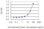 DTNBP1 Antibody in ELISA (ELISA)