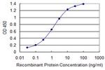 TKTL2 Antibody in ELISA (ELISA)