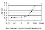 ZNF394 Antibody in ELISA (ELISA)