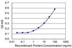 SLC7A6OS Antibody in ELISA (ELISA)