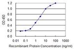 PPP1R1B Antibody in ELISA (ELISA)