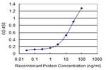 PROK1 Antibody in ELISA (ELISA)