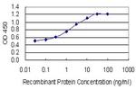 ARPM1 Antibody in ELISA (ELISA)