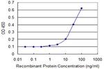 HOP Antibody in ELISA (ELISA)