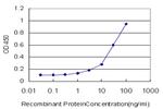 MAP1LC3A Antibody in ELISA (ELISA)