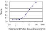 KIRREL3 Antibody in ELISA (ELISA)