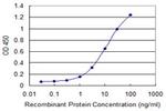 LNX1 Antibody in ELISA (ELISA)