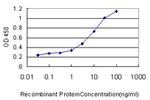 PIGO Antibody in ELISA (ELISA)