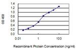 SPPL2A Antibody in ELISA (ELISA)