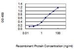 WDR73 Antibody in ELISA (ELISA)