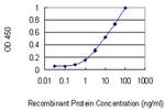 SIGLEC10 Antibody in ELISA (ELISA)