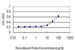 LHX4 Antibody in ELISA (ELISA)