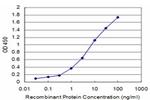 LHX4 Antibody in ELISA (ELISA)