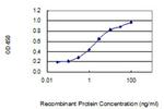 ZC3HAV1L Antibody in ELISA (ELISA)