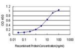 IGSF8 Antibody in ELISA (ELISA)