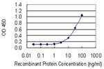 MIA2 Antibody in ELISA (ELISA)