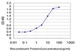 PDZD8 Antibody in ELISA (ELISA)