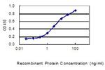 IKIP Antibody in ELISA (ELISA)