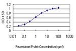 USP43 Antibody in ELISA (ELISA)