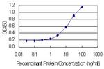 OR1I1 Antibody in ELISA (ELISA)