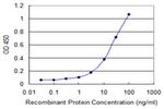 RAET1E Antibody in ELISA (ELISA)