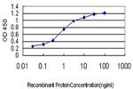 TAF1L Antibody in ELISA (ELISA)